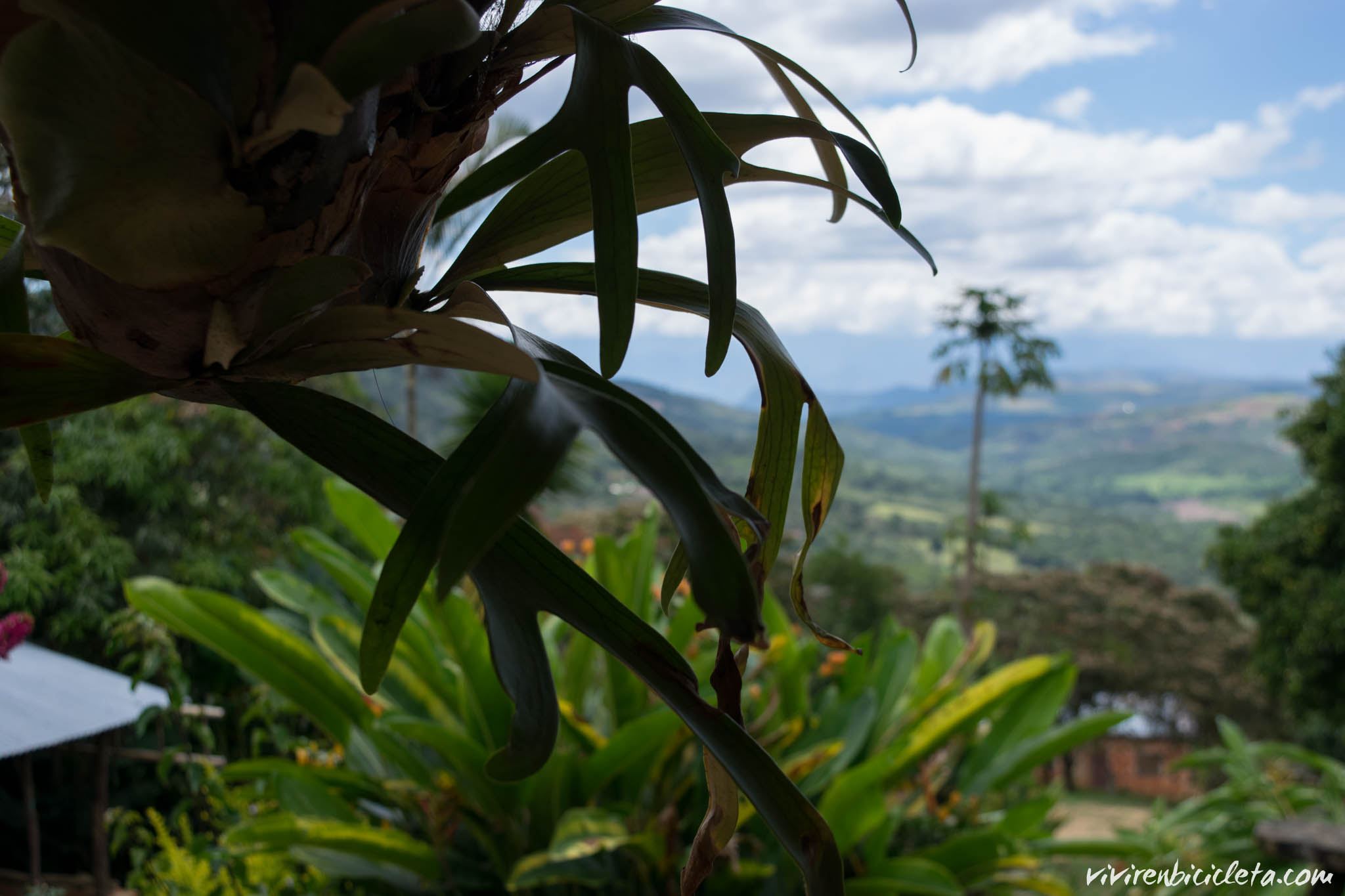 Colombia