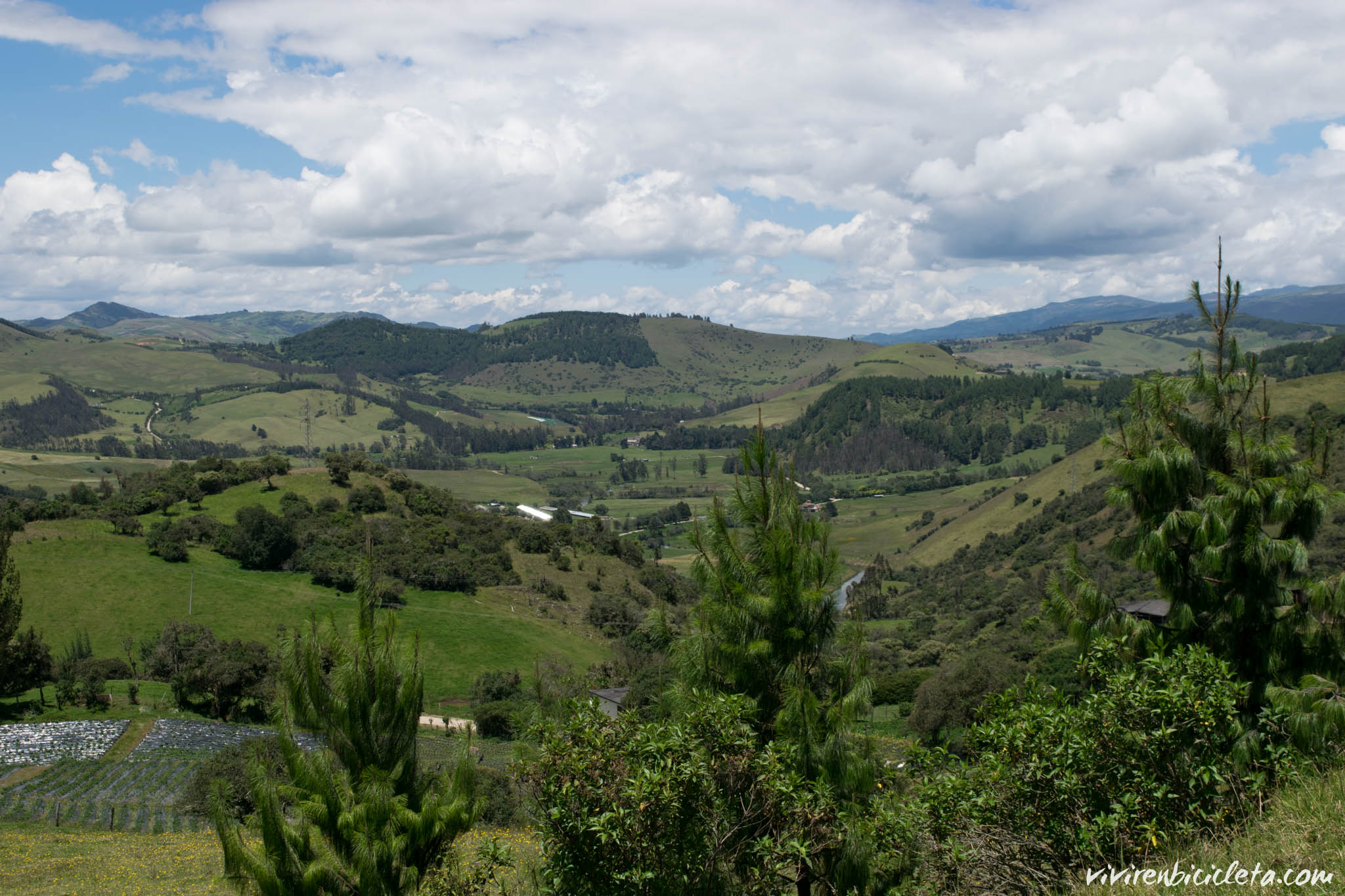 DSC_3640-2