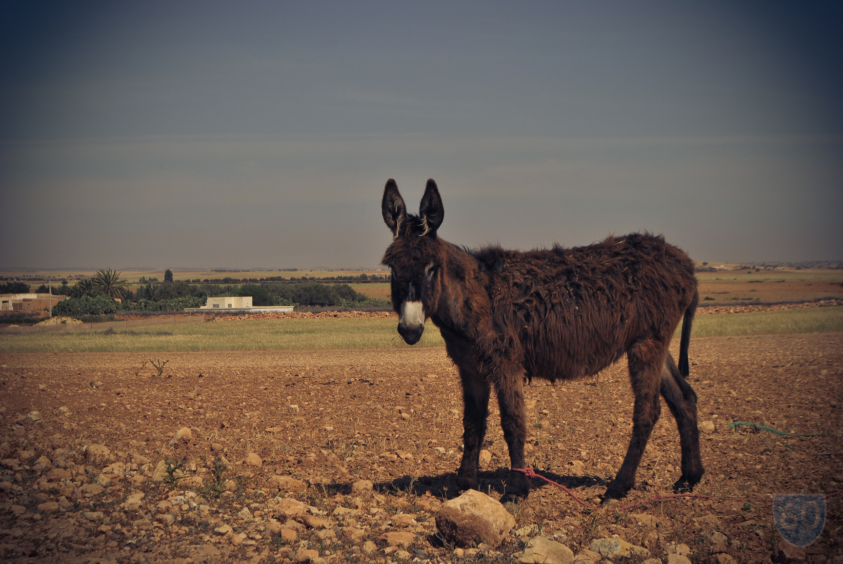 Marruecos