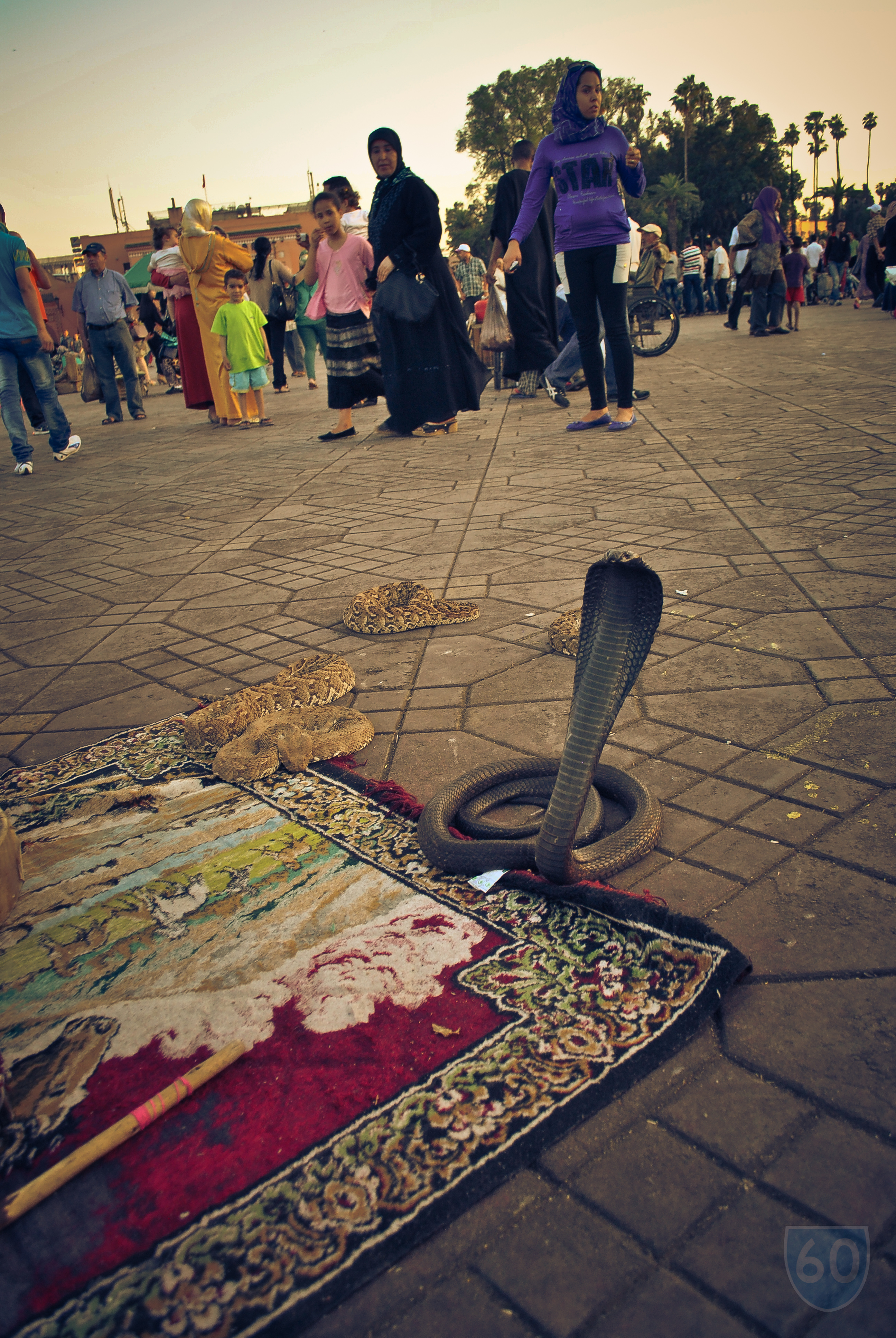 MARRAKECH: 3 días, 1000 aventuras, y un pardillo con un cartucho de gas