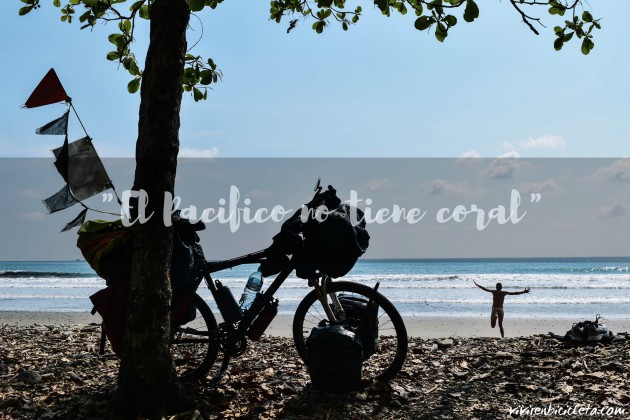 «El Pacífico no tiene Coral»